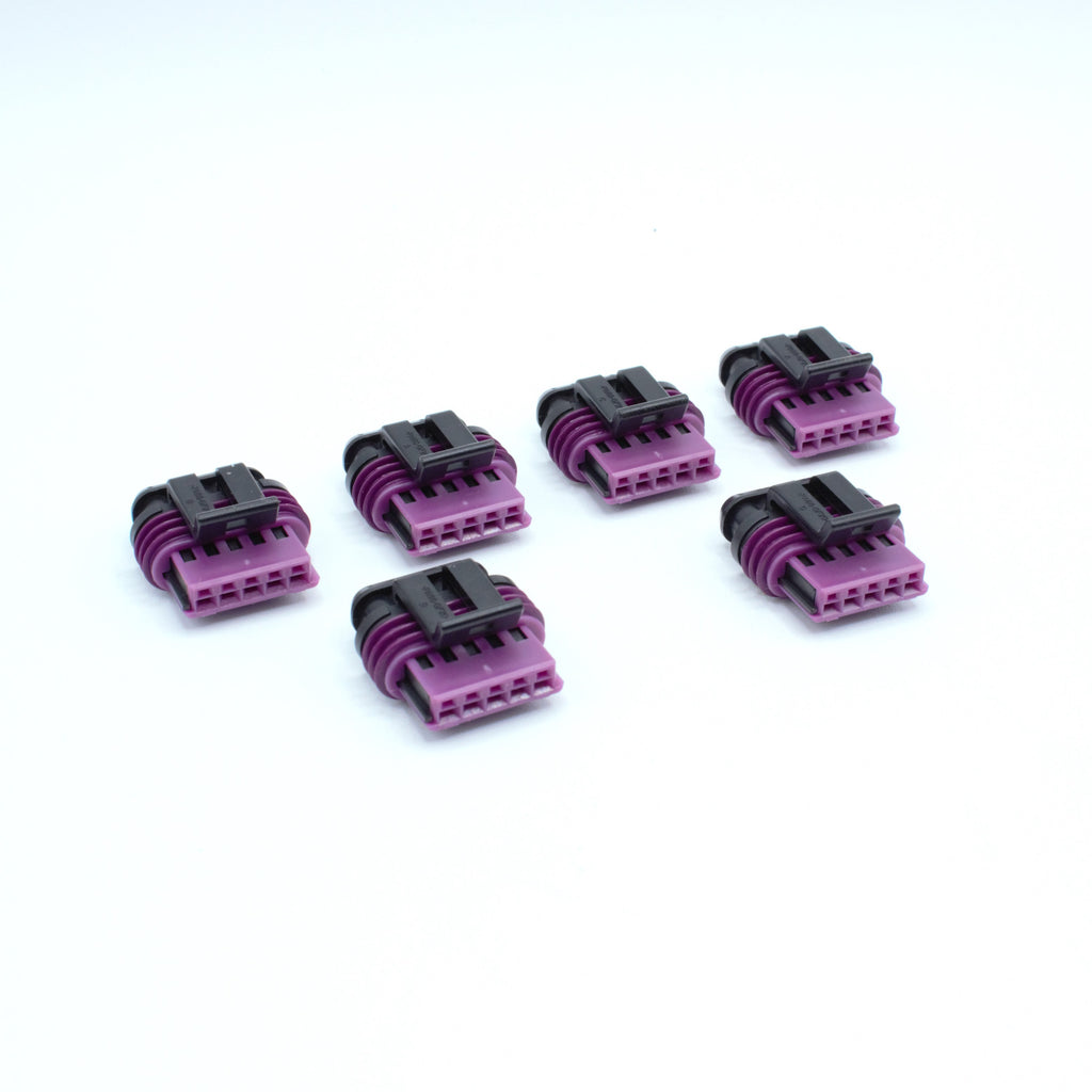 Set of 6 IGN-1A ignition coil connectors
5 way terminal sealed
black with violet purple green seal
Uses Delphi GT150 terminals and seals
accepts shrink boot

For use with mercury IGN-1a ignition coils sold by Link Haltech Ecumaster WHP and more
sold as a set of 4 6 or 8 with terminals and seals