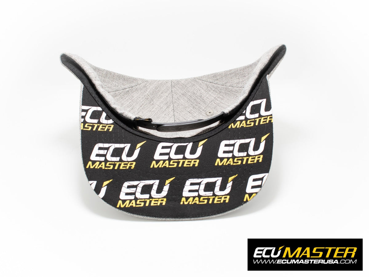 ECUMaster Snapback Hat